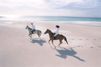 イージーリスニング 02