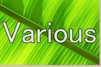 イージーリスニングのアーティストVarious