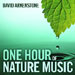 David Arkenstone - One Hour Of Nature Music